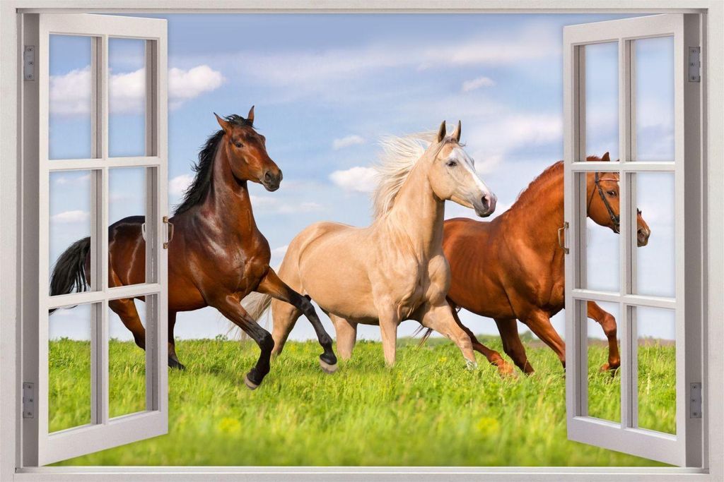 157 Wandtattoo Fenster - Pferde auf Wiese - Größe 750 x 500 mm