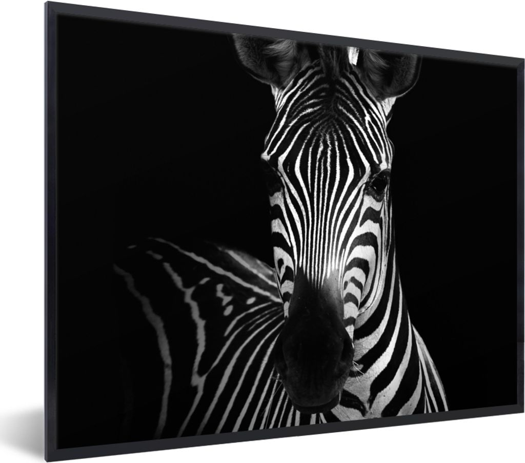 MuchoWow Gerahmtes Poster Zebra - Schwarz - Weiß - Tiere 80x60 cm - Poster mit Schwarzem Bilderrahmen Wandposter Rahmen Foto Bilder - Schwarzem ...