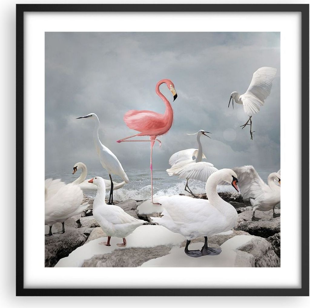 Gerahmtes Poster - Schwarzer Rahmen - Flamingo Schwan Fantasie - 50x50 cm - Wand Bild - Wanddeko - Wandbilder - Kunstposter - Wandposter - Bilderra...
