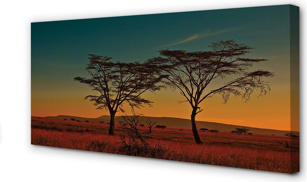 Leinwandbild 100x50 Wandkunst Himmelsbaum