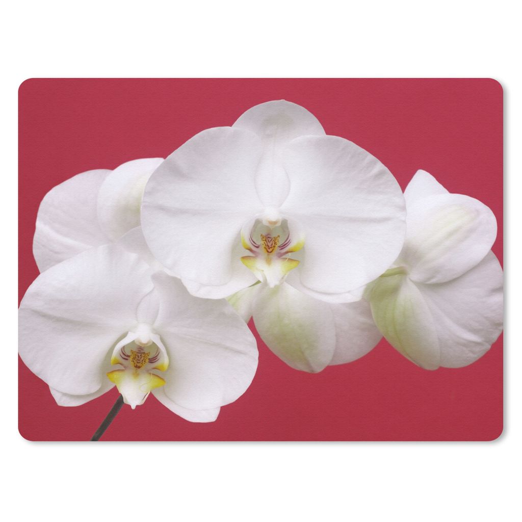 MuchoWow Mauspad Mousepad Weiße Orchidee auf Rot 40x30 cm - Mousepads - Maus Mat - Pad - Mausunterlage - Anti Rutsch