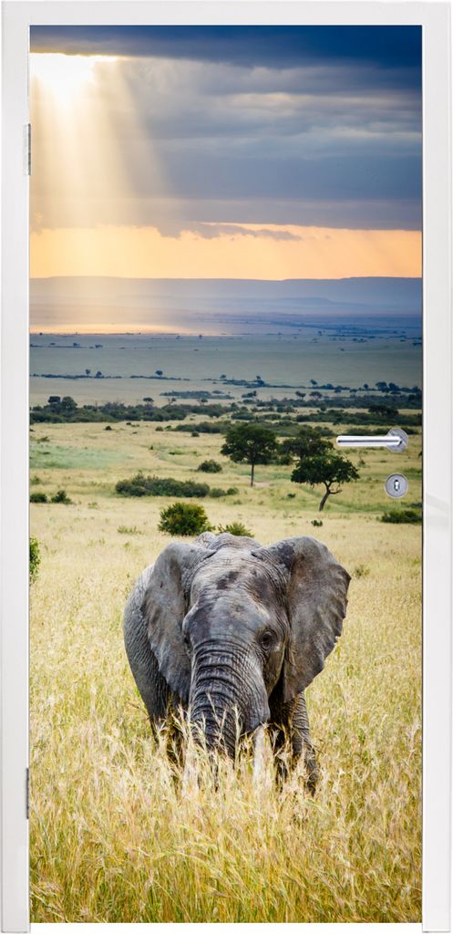 MuchoWow Türtapete Selbstklebende Türfolie Sonnenstrahlen über einem Elefanten in der Savanne 90x235 cm Türposter Türaufkleber Klebefolie T...