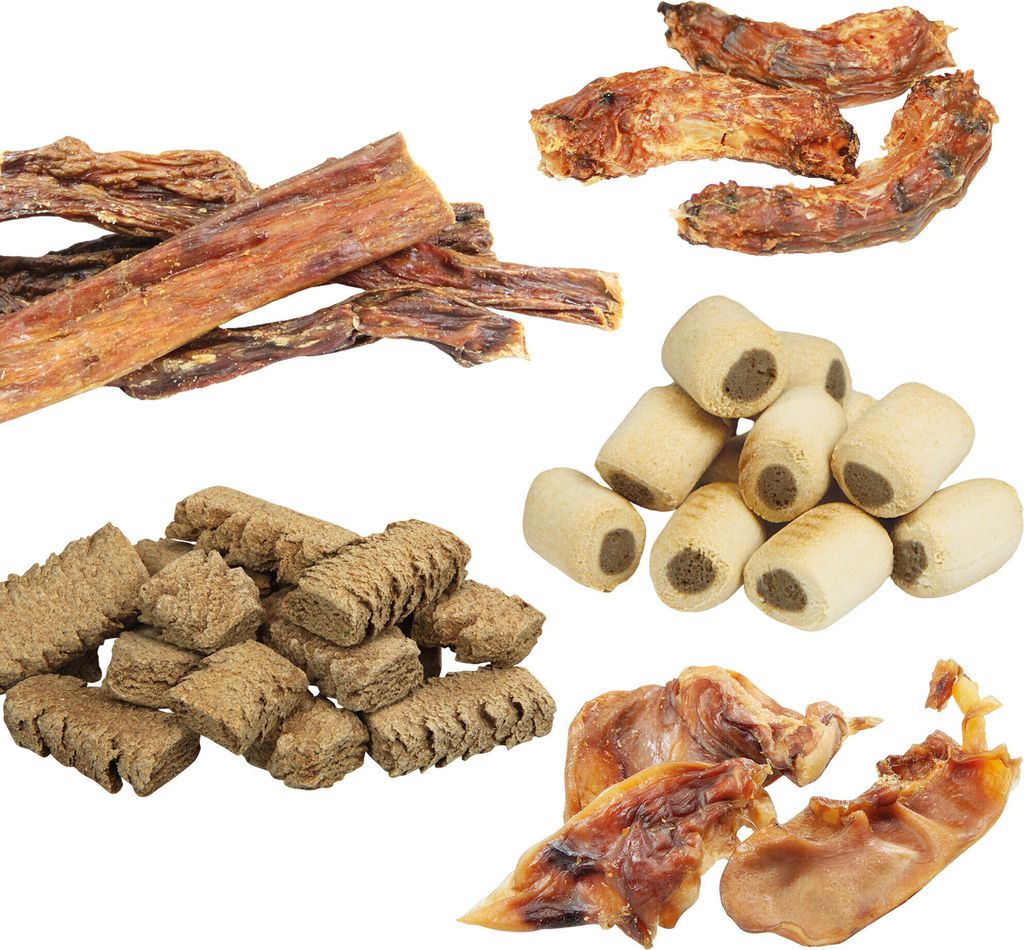 Schecker Welpen Snack Verwöhn Paket - Hundefutter - Hundeleckerlie zum Probierpreis