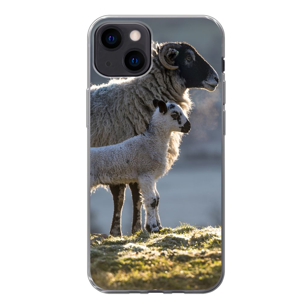 MuchoWow Handyhülle Schutzhülle Hülle für iPhone 13 Schaf - Lamm - Sonne Silikon Softcase Handy Hülle - Karteninhaber