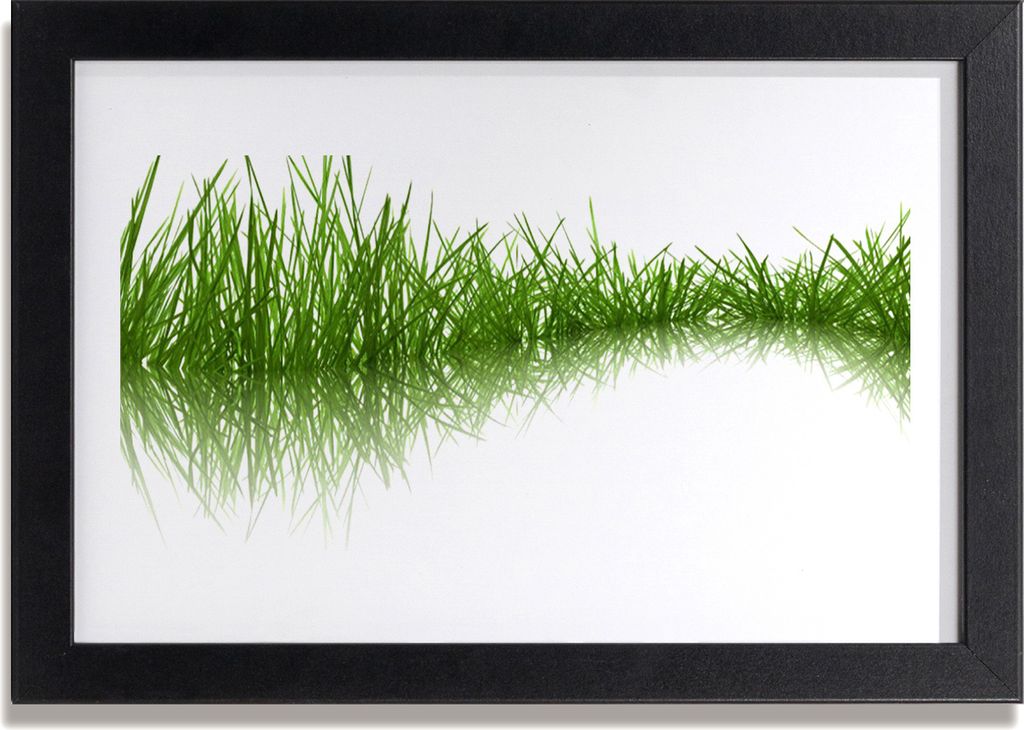 Bild 30x20 MDF-Rahmen Wandkunst Gras Natur Pflanze