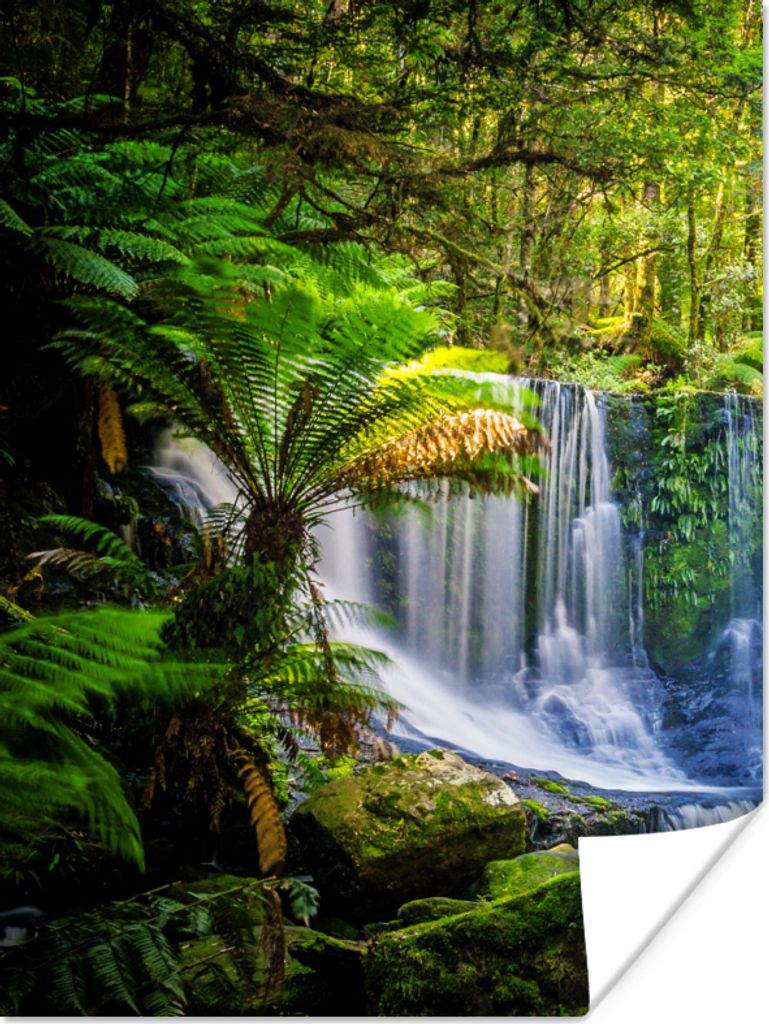 MuchoWow Poster Dschungel - Wasserfall - Australien - Pflanzen - Natur 120x160 cm - Wandbilder