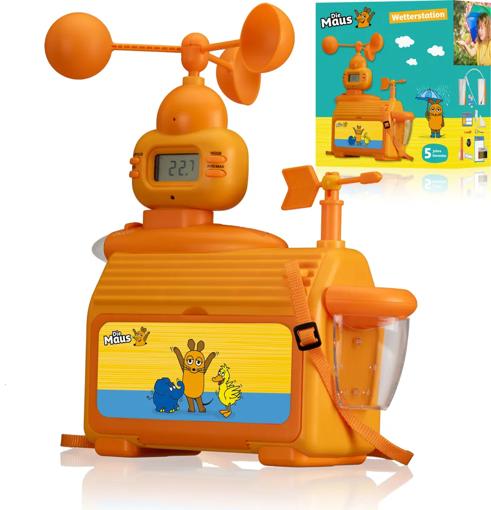 Station météo DieMaus 3-en-1 : Thermomètre, Pluviomètre et Hygromètre