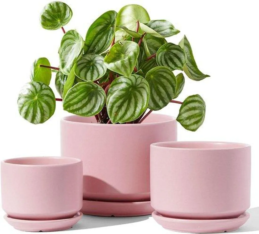 Lot de 3 petits pots en céramique rose de 11 à 17 cm pour plantes