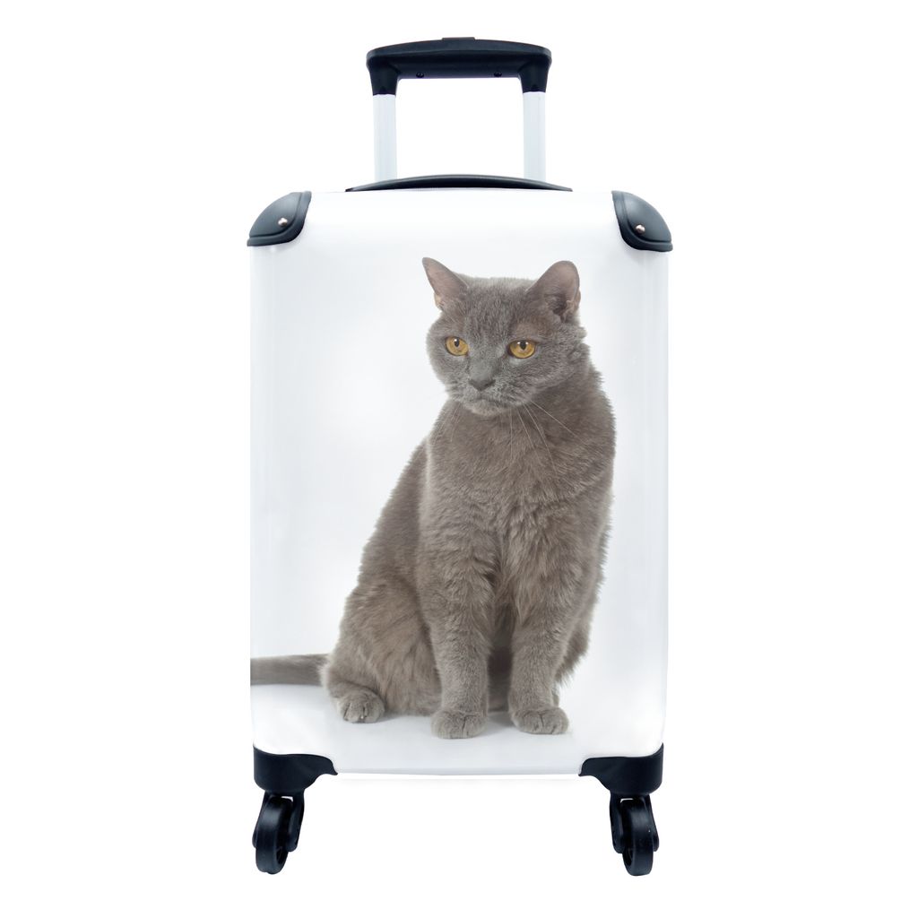 MuchoWow Koffer Handgepäck Trolley Rollkoffer Kleine Reisekoffer mit 4 Rollen - Graue Katze auf weißem Hintergrund - Cabin Size < 55x40x23 cm &...