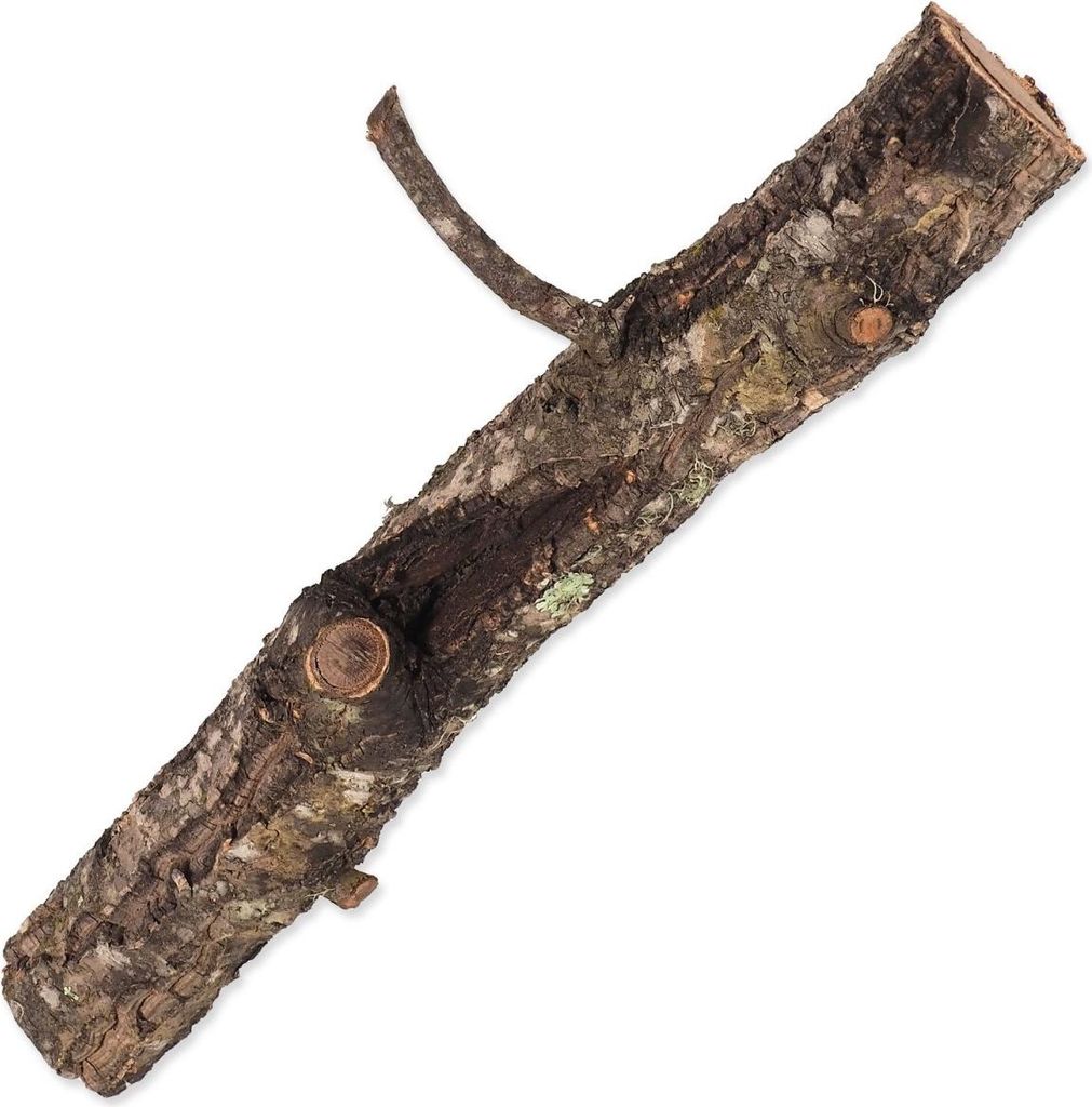 Dekoration Repti Planet Kork Zweig S 15-30 cm