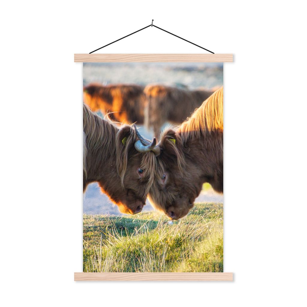 MuchoWow Textilposter Schottische Highlander - Tiere - Sonne 60x90 cm mit holzfarbenen Rahmen - Textil