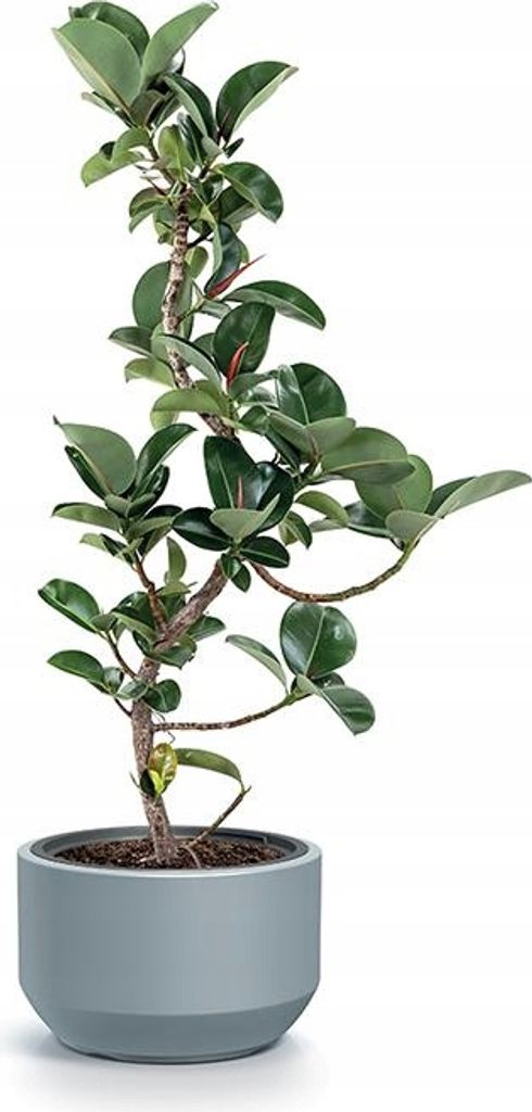 HEOS Blumentopf 39 cm - hellgrau