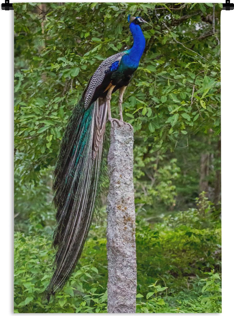 MuchoWow Wandteppich Wandbehang Pfau - Wald - Zweig 90x135 cm Tapisserie Dekoration Wandtuch - Baumwolle - Wandskulptur