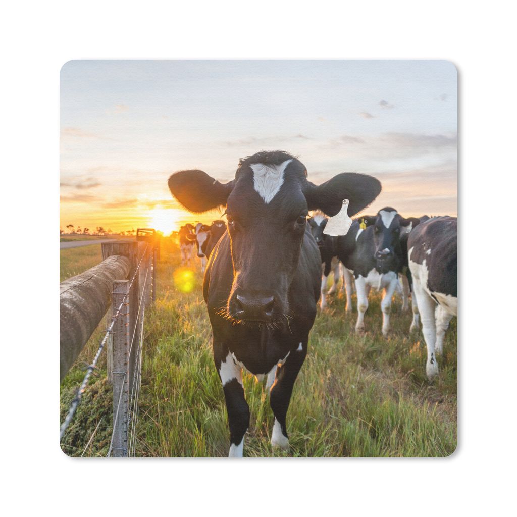 MuchoWow Mauspad Mousepad Kühe - Sonne - Zaun 30x30 cm - Mousepads - Maus Mat - Pad - Mausunterlage - Gaming