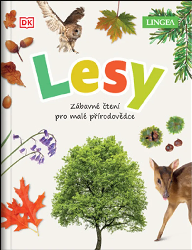 Guide Les Forêts illustré de Jamie Ambrose : éveil ludique à la nature sauvage