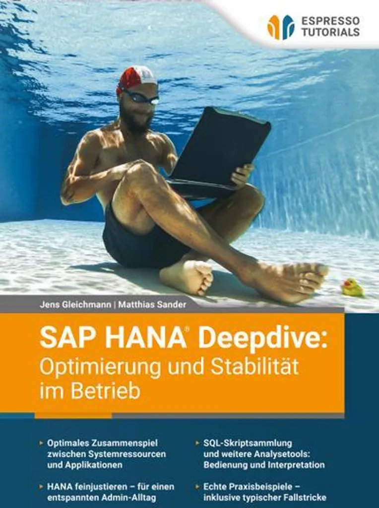 SAP HANA Deepdive : Stabilité Opérationnelle et Performance de Pointe