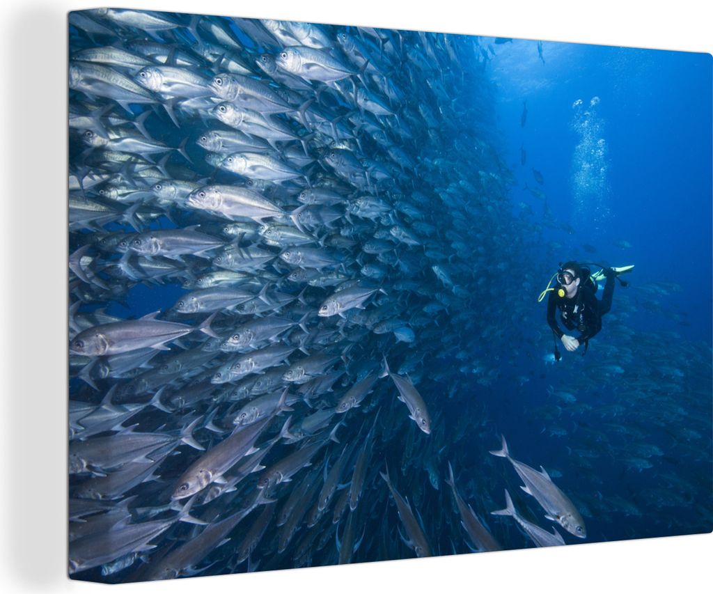 OneMillionCanvasses - Leinwandbilder - 140x90 cm, Ein Taucher schwimmt an einem Fischschwarm in Costa Rica vorbei, Wandbilder Kunstdruck Wanddeko...