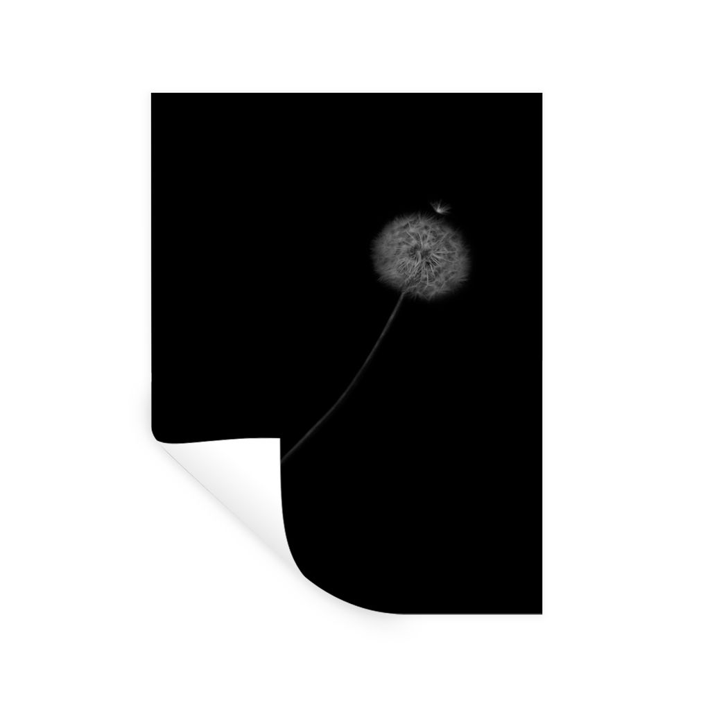 MuchoWow Wandtattoo Wandsticker Wandaufkleber Blumen - Löwenzahn - Samen - Schwarz - Weiß 120x160 cm Selbstklebend und Repositionierbar - Wierd...