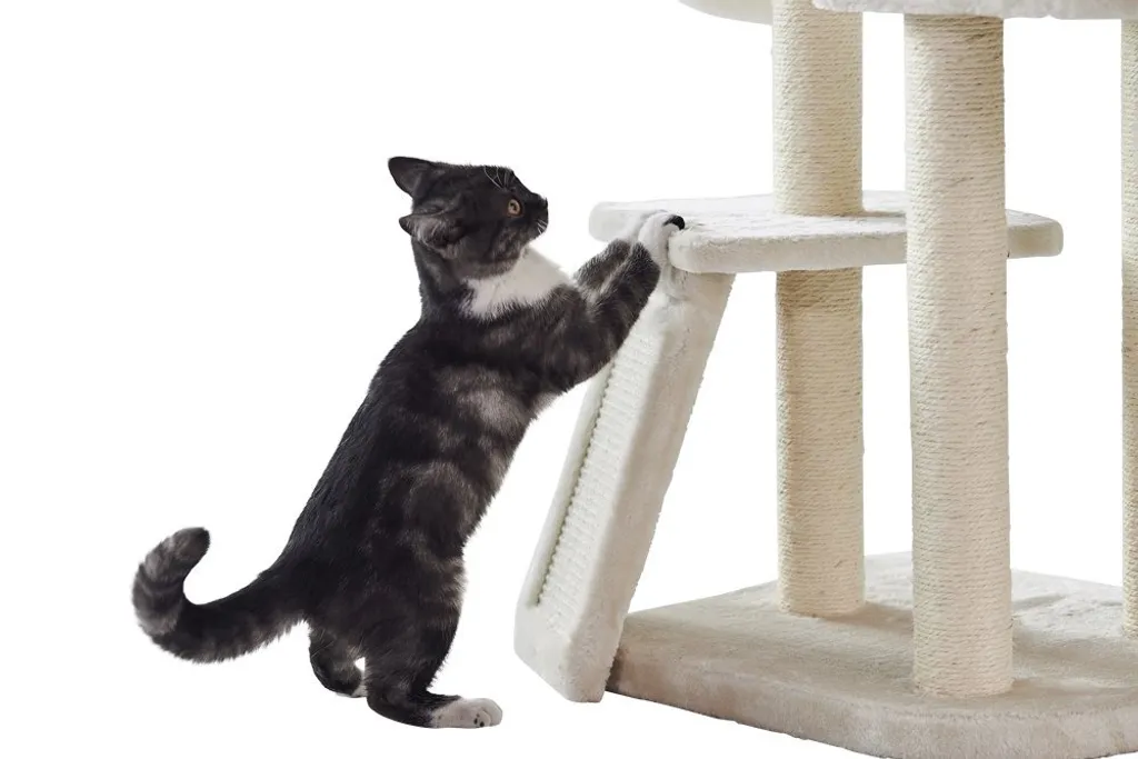 Arbre à Chat Nobby Dilan : Finis les Griffes sur le Canapé - Crème - 4