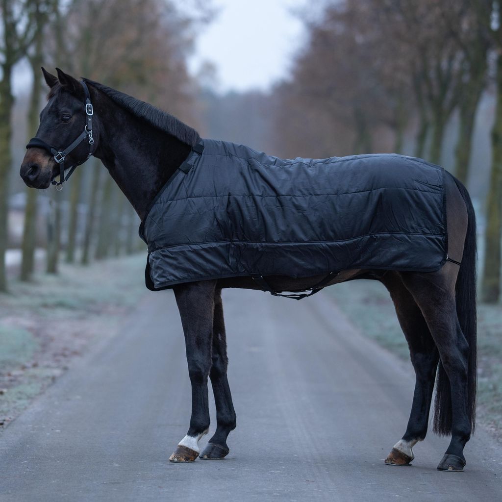 BUSSE Liner NOORVIK PRO II 200- schwarz, 140/145