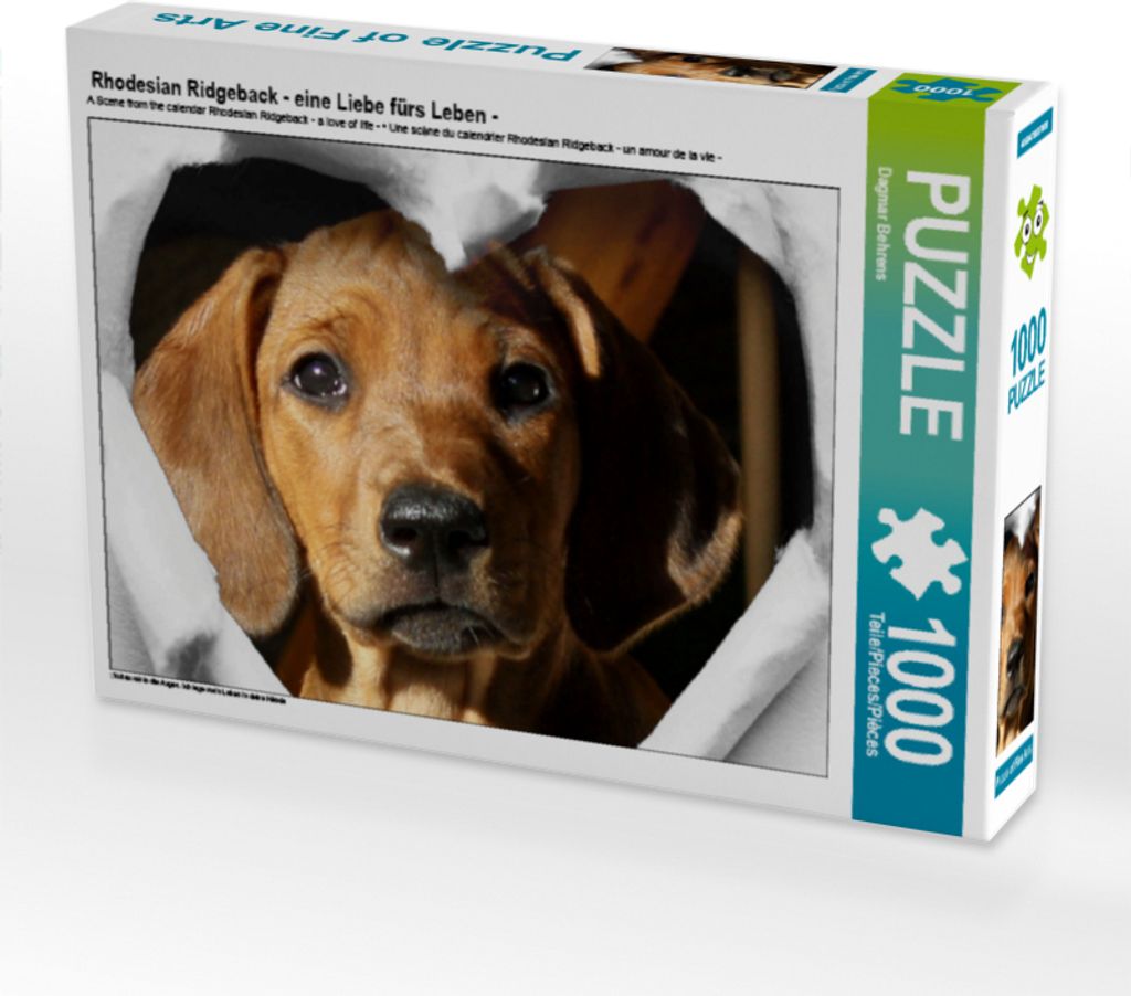 Calvendo Rhodesian Ridgeback - eine Liebe fürs Leben - 1000 Teile Puzzle quer 640x480mm, Behrens Dagmar; 7434759