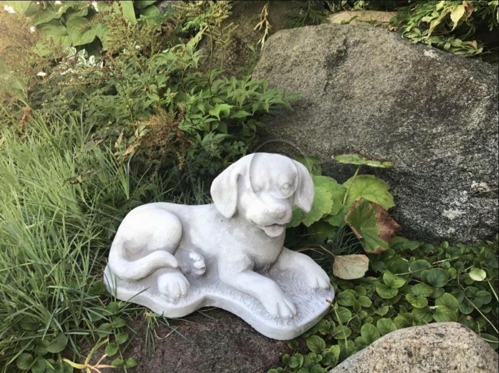 Garten Dekoration Hund Terrasse Stein Figuren Figur Deko Statue Skulptur S103112