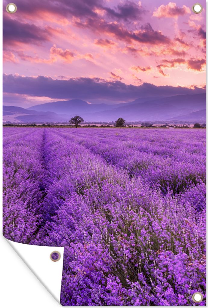 MuchoWow 60x90 cm Outdoor-Poster Gartendeko Sichtschutz Garten Poster für den Garten Lavendel - Lila - Blumen - Feld