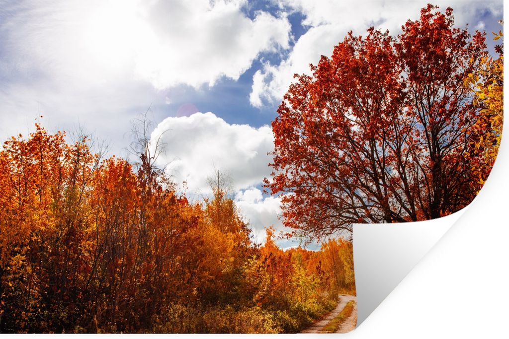 MuchoWow Wandtattoo Wandsticker Wandaufkleber Baum - Weg - Herbst 120x80 cm Selbstklebend und Repositionierbar - Selbstklebend - Fototapeten