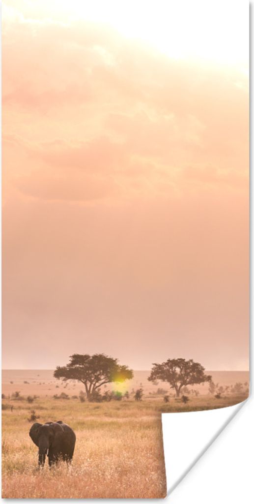 MuchoWow Poster Rosa Himmel über dem Serengeti-Nationalpark in Tansania 20x40 cm - Plakat - Foto