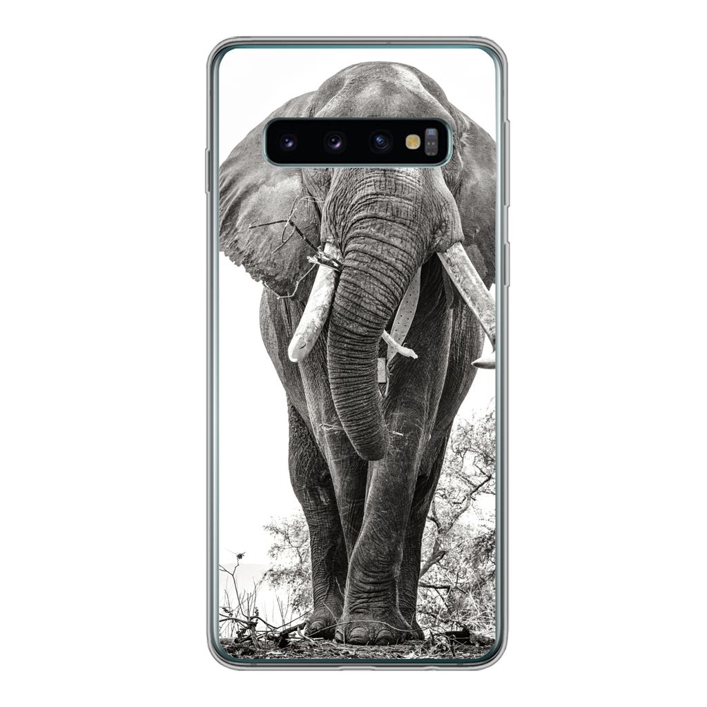 MuchoWow Handyhülle Schutzhülle Hülle für Samsung Galaxy S10 Elefant - Porträt - Tiere - Schwarz und weiß Silikon Softcase Handy Hülle - H...