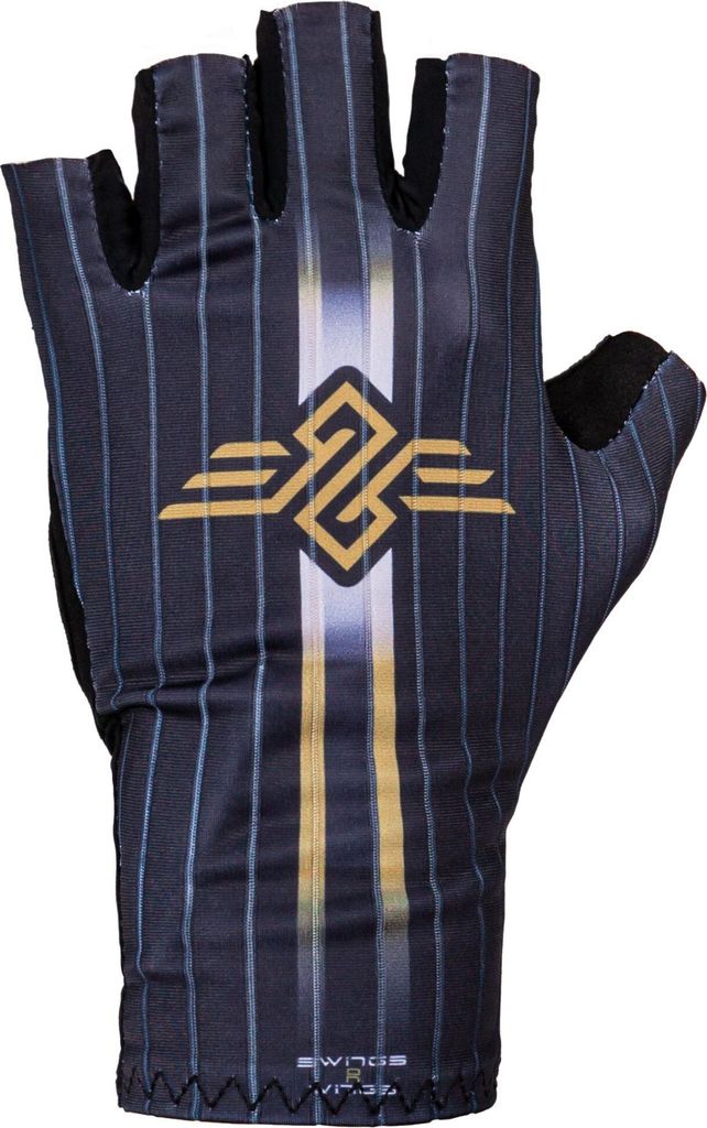 Swings Race Aero Handschuhe in schwarz für Speedskating – Leichte Elasthan Wettkampf-Handschuhe mit gepolsterter Mikrofaser-Handfläche & Finger...