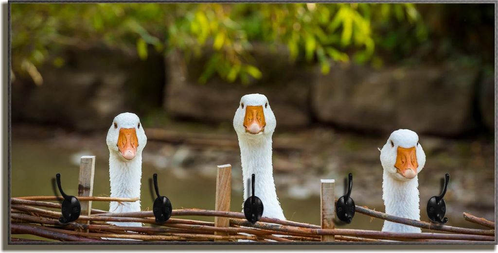 Wallario Flurgarderobe Wandgarderobe aus Holz, mit 5 Haken, Größe 80 x 40 cm, Motiv Neugierige Gänse am Zaun