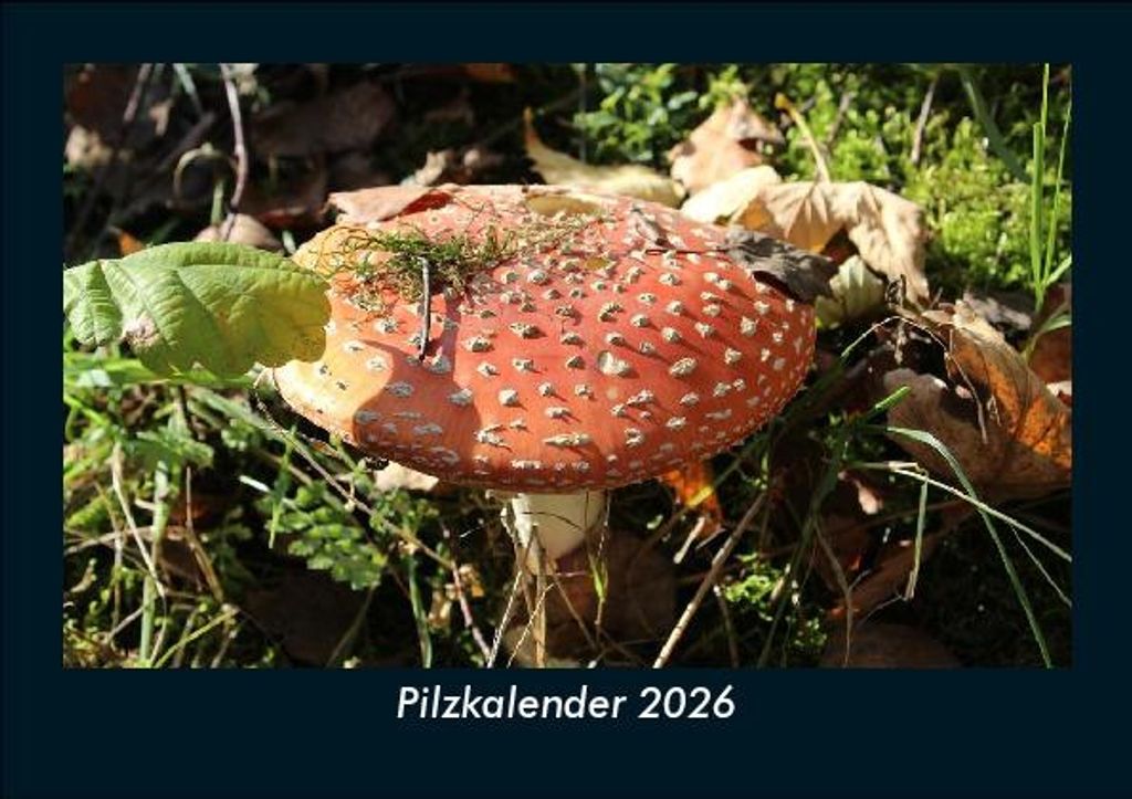 Pilzkalender 2026 Fotokalender - Querformat DIN A5, Monatskalender mit Bild-Motiven aus Fauna und Flora, Natur, Blumen und Pflanzen