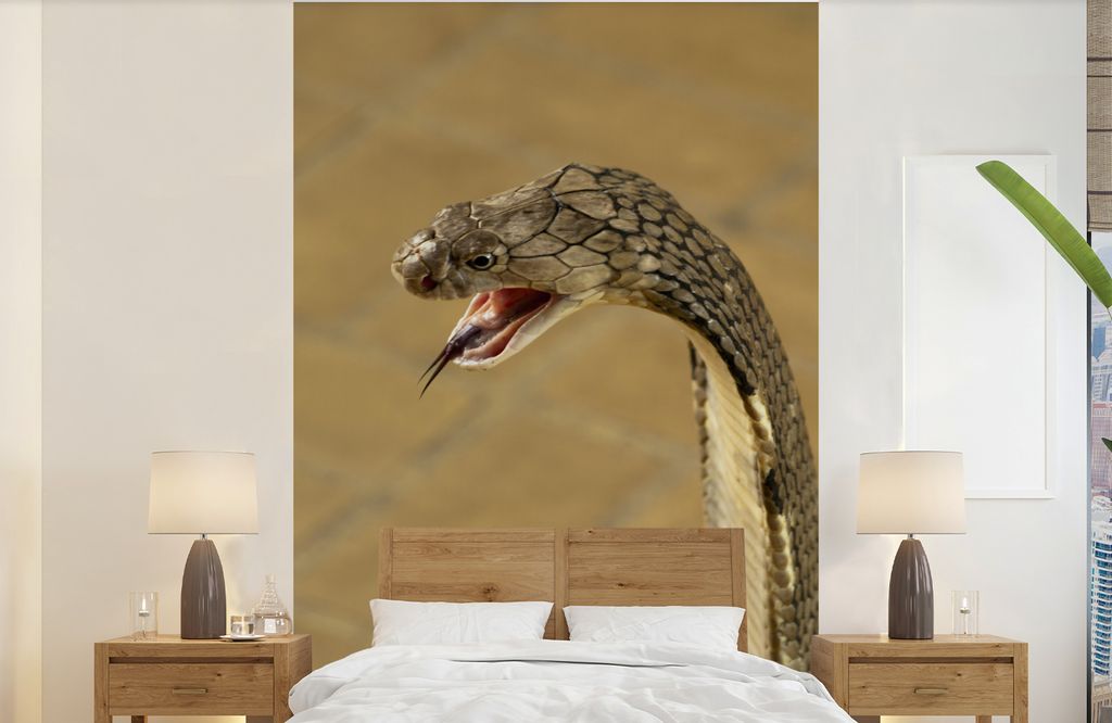 MuchoWow Fototapete für Wohnzimmer oder Schlafzimmer Wandtapete Vinyl Motivtapete Königskobra mit bedrohlichem Blick - 140x220 cm - Fototapeten