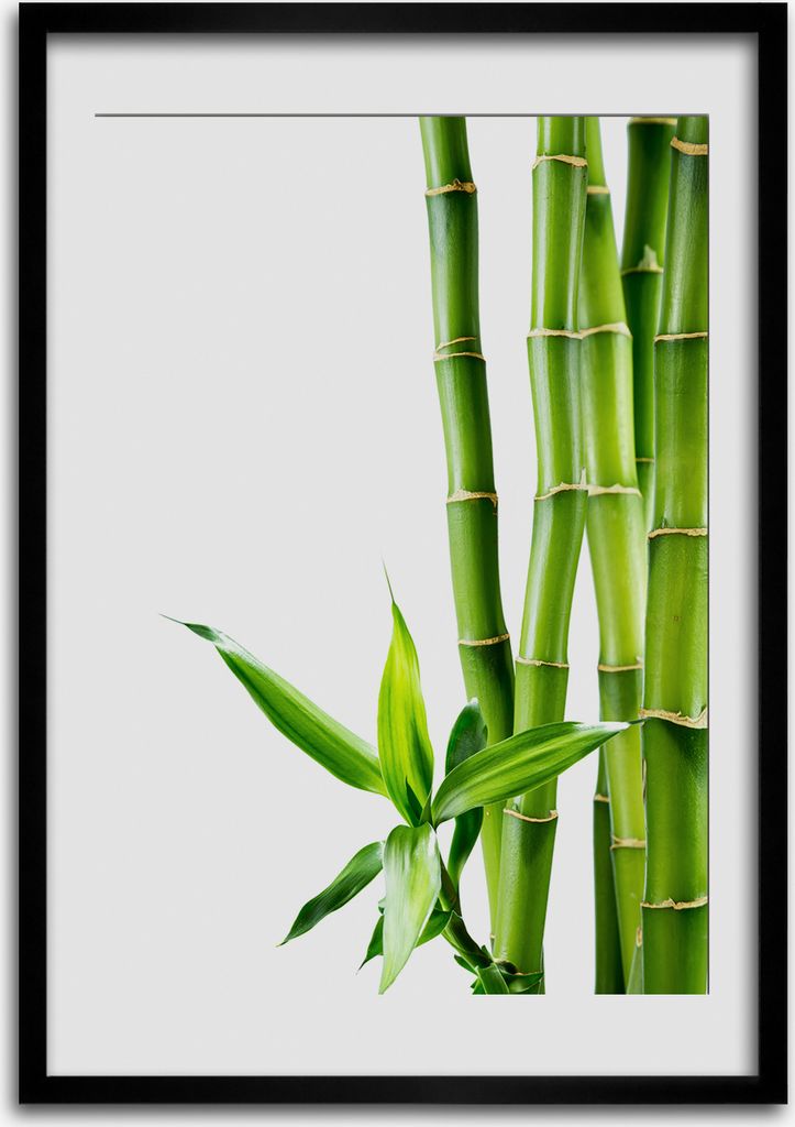 Bild - Bilderrahmen - 50 cm x 70 cm - MDF - Rahmen - Wandkunst Bambus