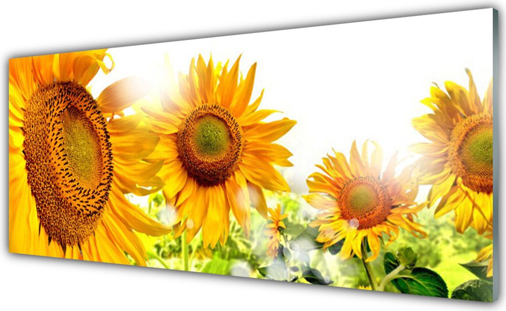 Küchenrückwand aus Glas 125x50cm Spritzschutz Sonnenblumen Pflanzen