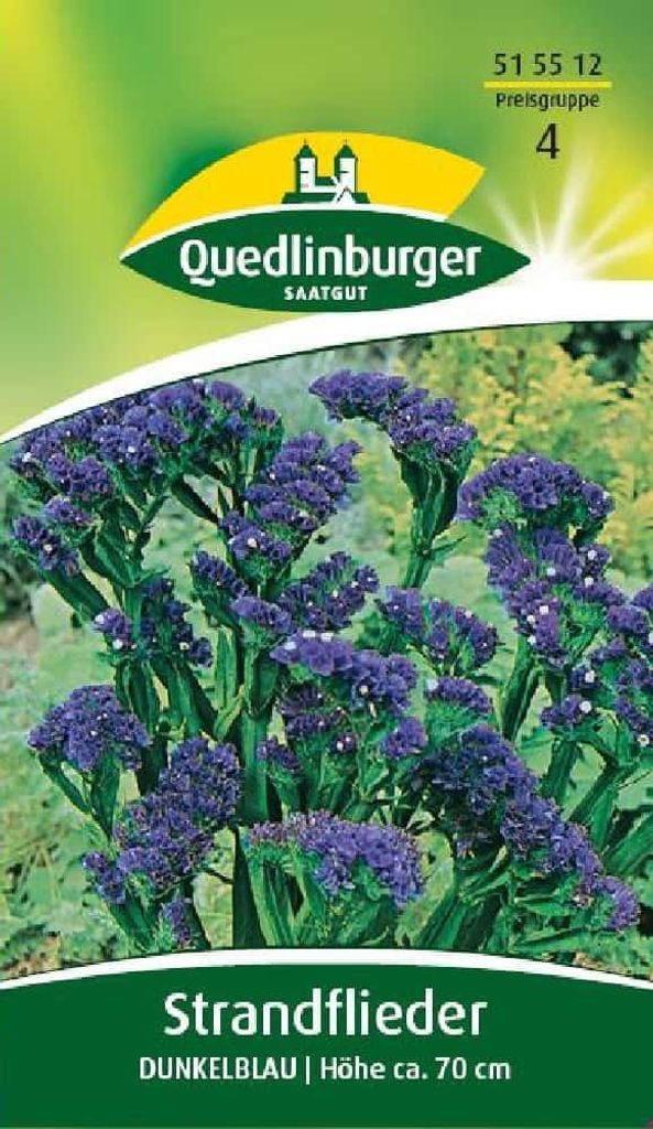 Strandflieder, Dunkelblau Produktbild 