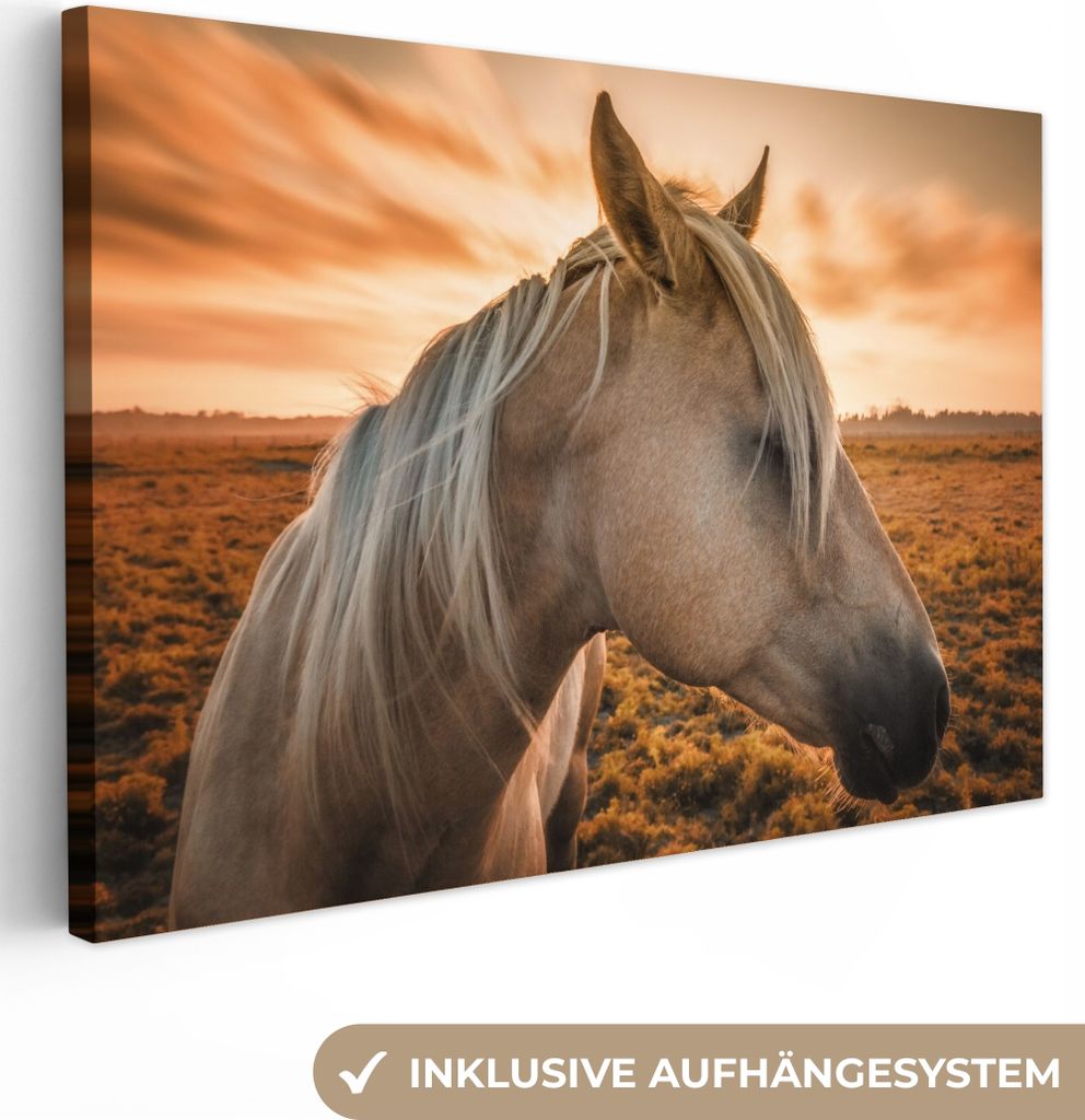 MuchoWow - Leinwandbilder - Pferd - Tiere - Porträt, Wandbild, Wanddeko Bilder Wohnzimmer, 90x60 cm