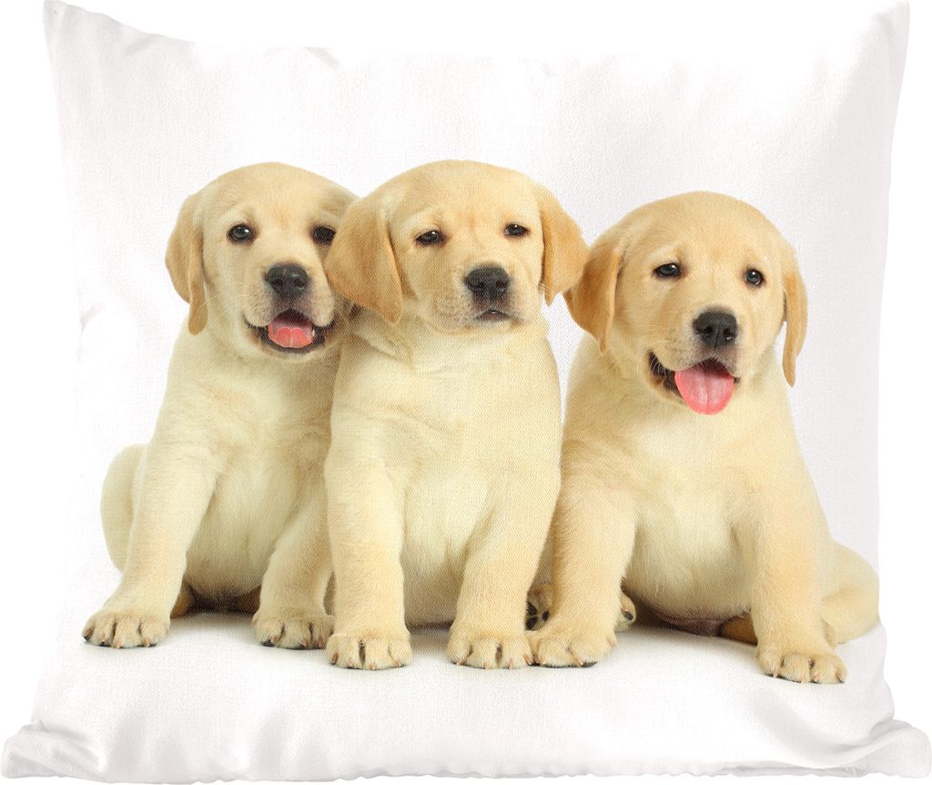 MuchoWow Zierkissen Sofakissen Wohnzimmer Dekokissen 50x50 cm Bezaubernde Labrador Retriever Welpen - Komfort - Sofakissen