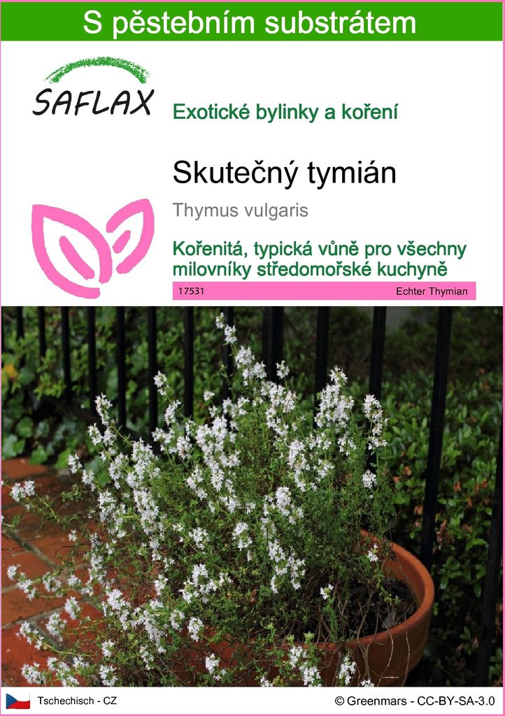SAFLAX - Skutečný tymián - Thymus vulgaris - 200 Semena - S Obrázek produktu 