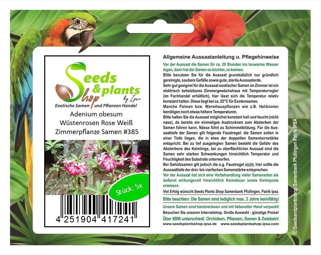 5x Adenium obesum Wüstenrosen Rose Weiß Zimmerpflanze Samen #385