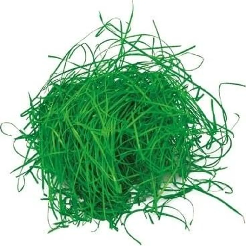 Frisure de bois décorative Pistache 1kg - Rembourrage colis naturel