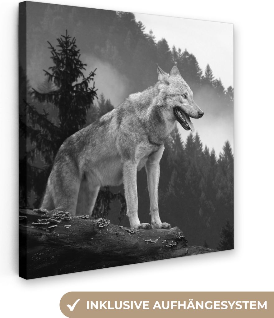 MuchoWow - Leinwandbilder - Wolf - Wald - Schwarz - Weiß, Wandbild, Wanddeko Bilder Wohnzimmer, 50x50 cm