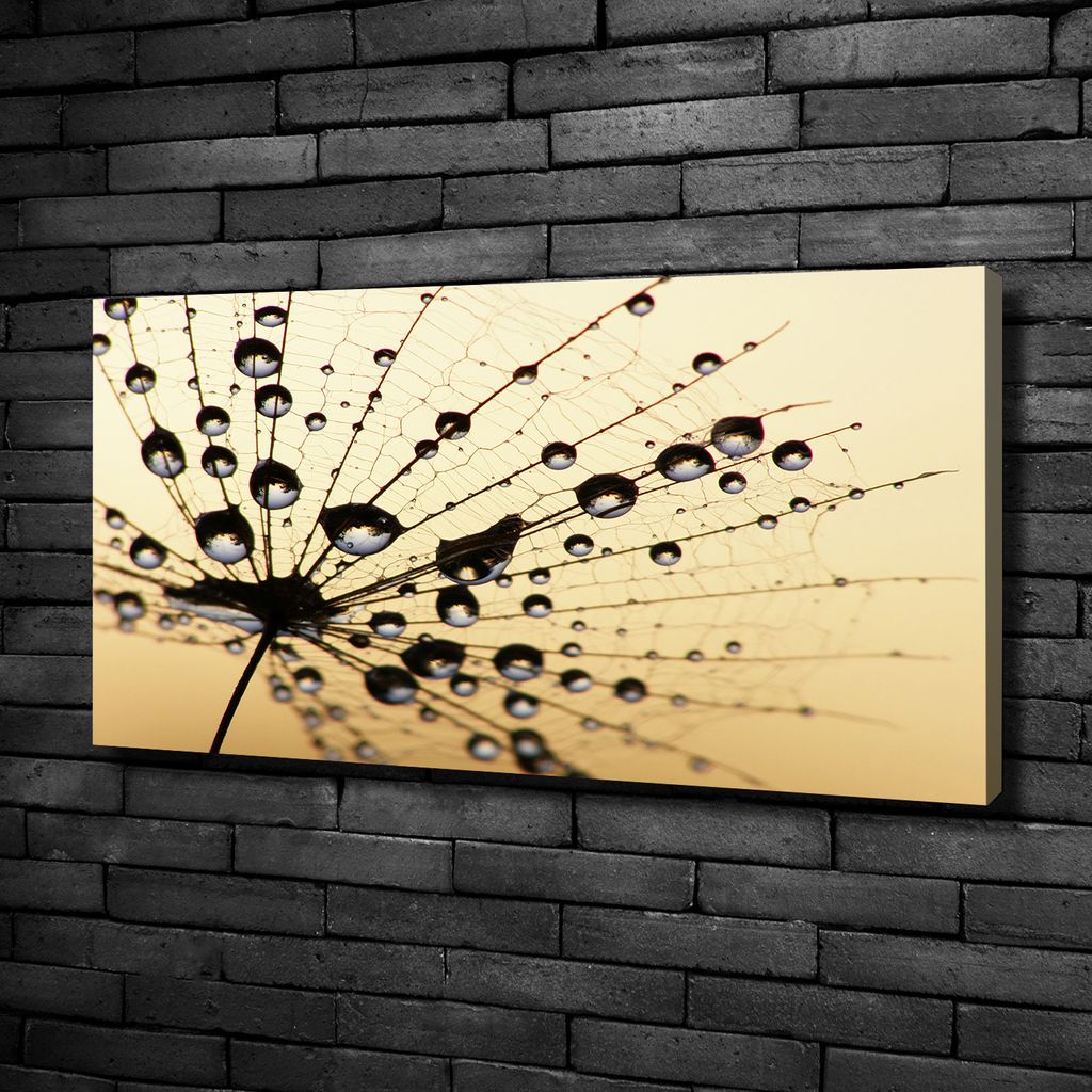 Tulup Leinwandbild -100x50 cm - Wandkunst - Drucke auf Leinwand - Leinwanddruck - Blumen & Pflanzen - Beige - Pusteblume