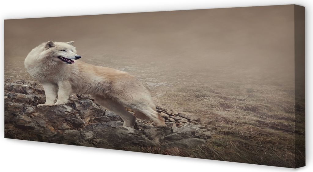 Leinwandbild 125x50 Wandkunst Wolf Berge