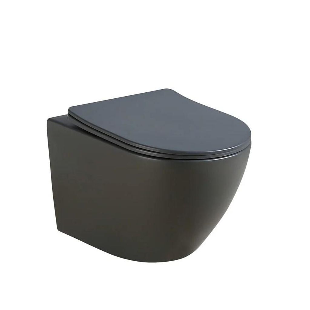 A wall-mounted toilet with a dark gray body and a gray toilet seat, shown against a white background.
