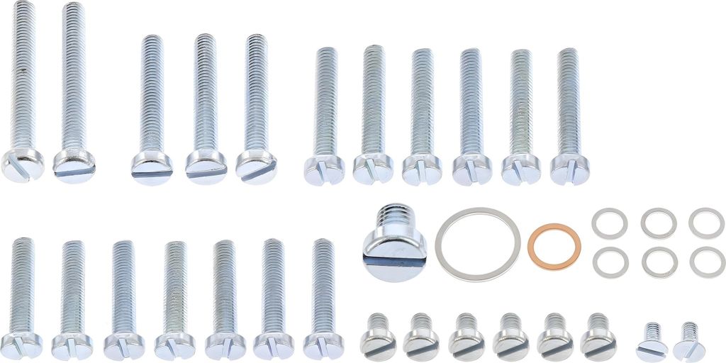 Set: Zylinderschrauben mit Dichtungen für S50, Motor M53, Gehäuse,Deckel