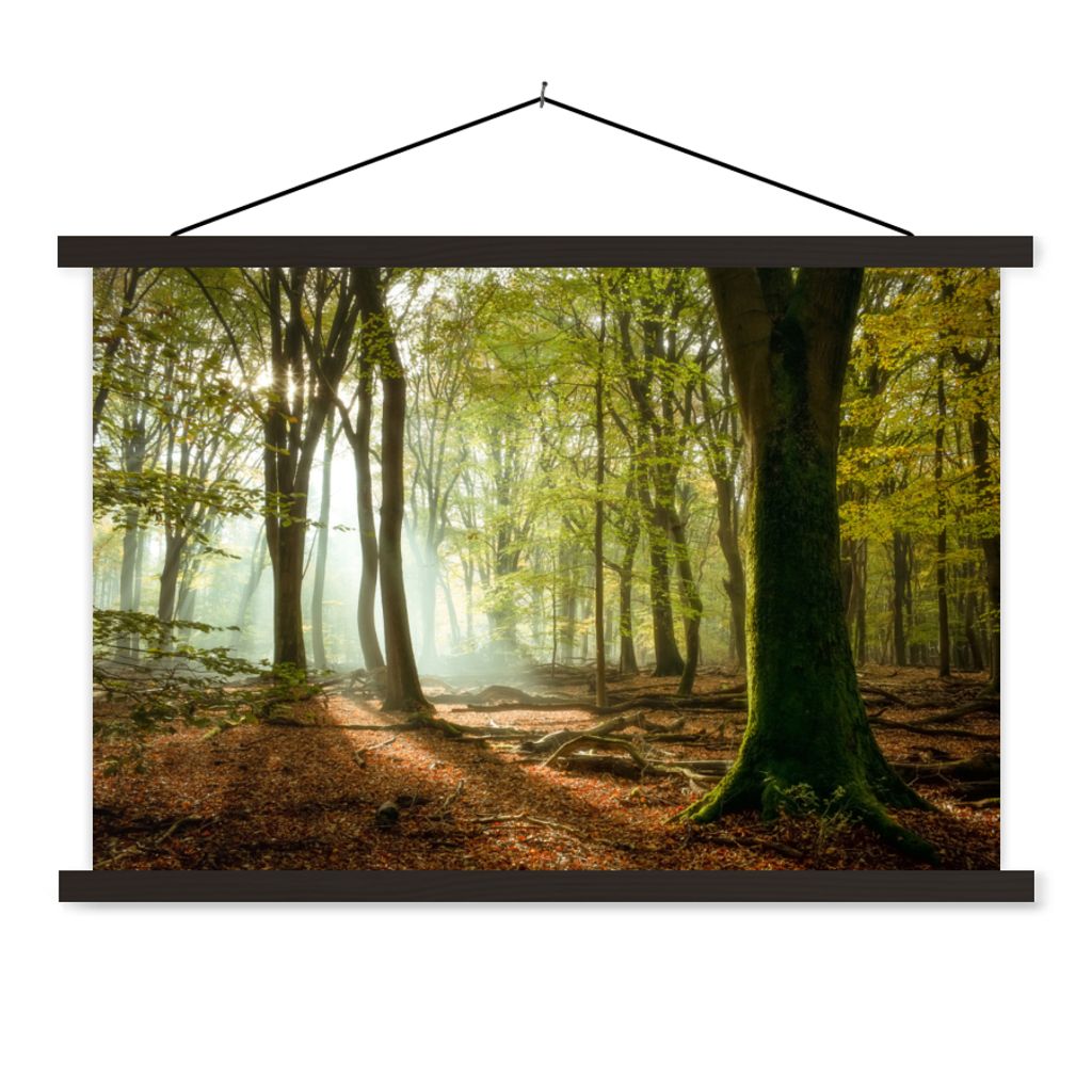 MuchoWow Textilposter Wald - Sonne - Jahreszeiten - Landschaft 90x60 cm mit schwarzem Rahmen - Aufhängungssatz