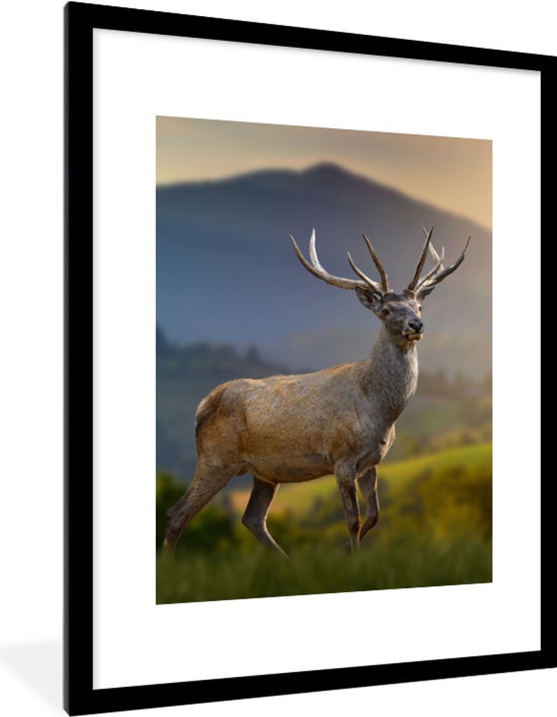 MuchoWow Gerahmtes Poster Hirsche - Berg - Gras - Sonnenuntergang - Tiere - Natur 60x80 cm - Poster mit Schwarzem Bilderrahmen Wandposter Rahmen ...