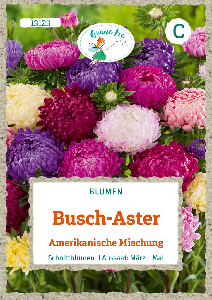 Grüne Fee - Busch-Aster Amerikanische Mischung Samen - 13125